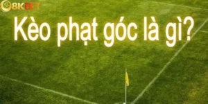 da phat goc
