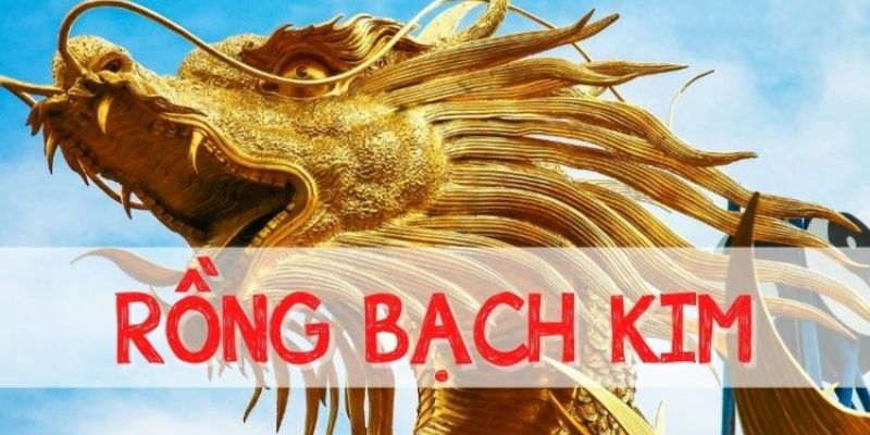 Dàn Đề Rồng Bạch Kim - Bí Kíp Về Bờ Nhanh Chóng Nhất 4 Dàn đề 10 số có khả năng chiến thắng đậm sâu