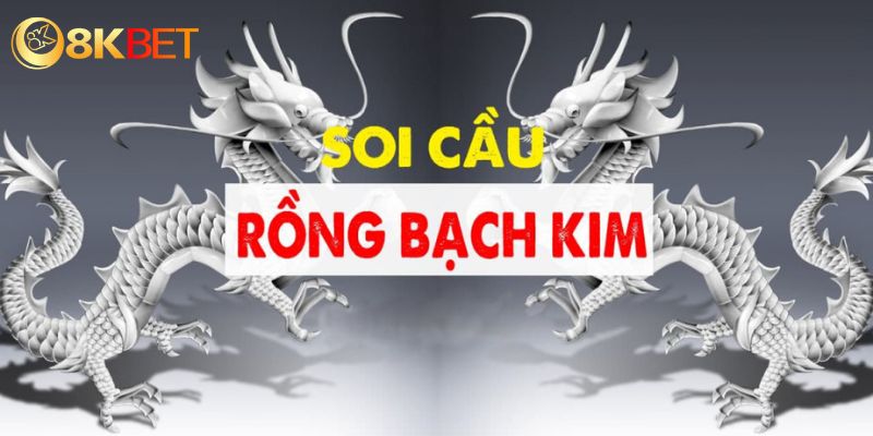 Dàn Đề Rồng Bạch Kim - Bí Kíp Về Bờ Nhanh Chóng Nhất 5 Bạc nhớ là phương pháp thích hợp với người chơi đã có kinh nghiệm