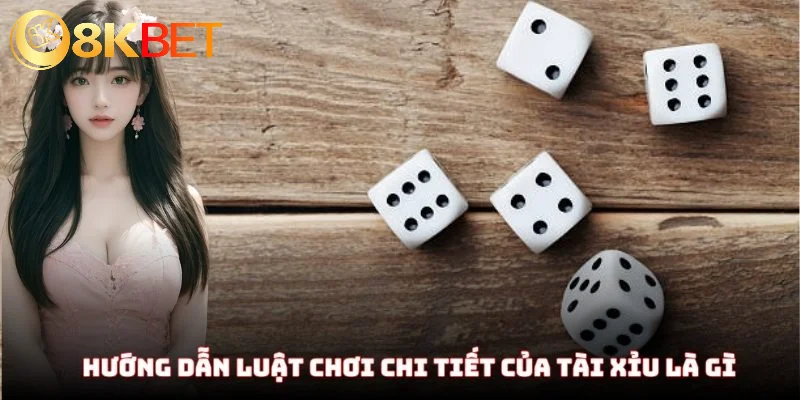 Tài Xỉu Là Gì - Tìm Hiểu Tất Tần Tật A Đến Z Cho Các Tân Thủ 4 Hướng dẫn người mới về luật chơi chi tiết của tài xỉu là gì