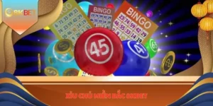 xiu chu mien Bac anh dai dien